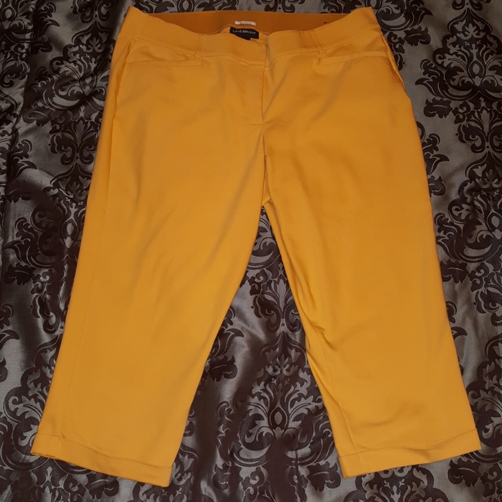 Lane Bryant Ankle Pants